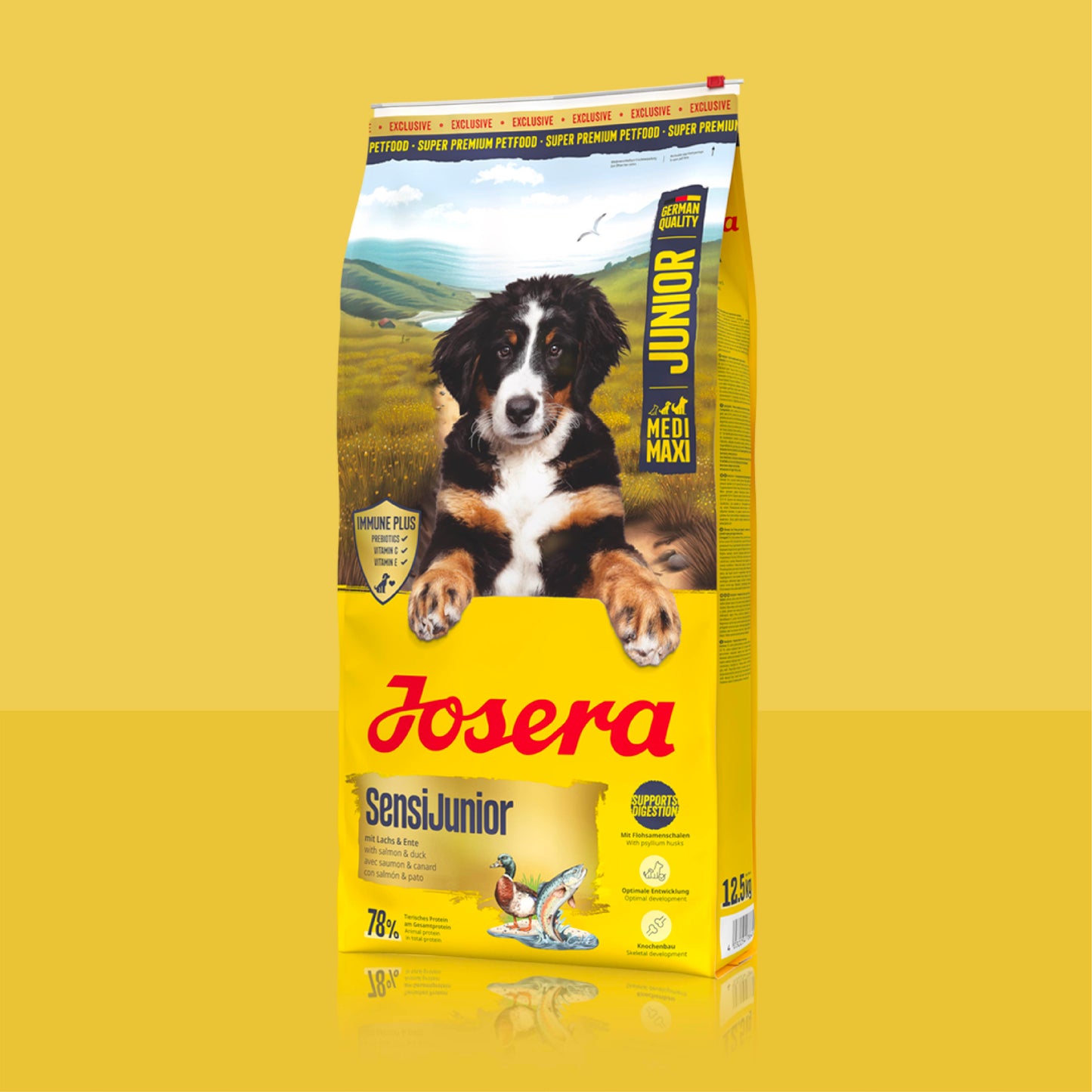 SENSI JUNIOR