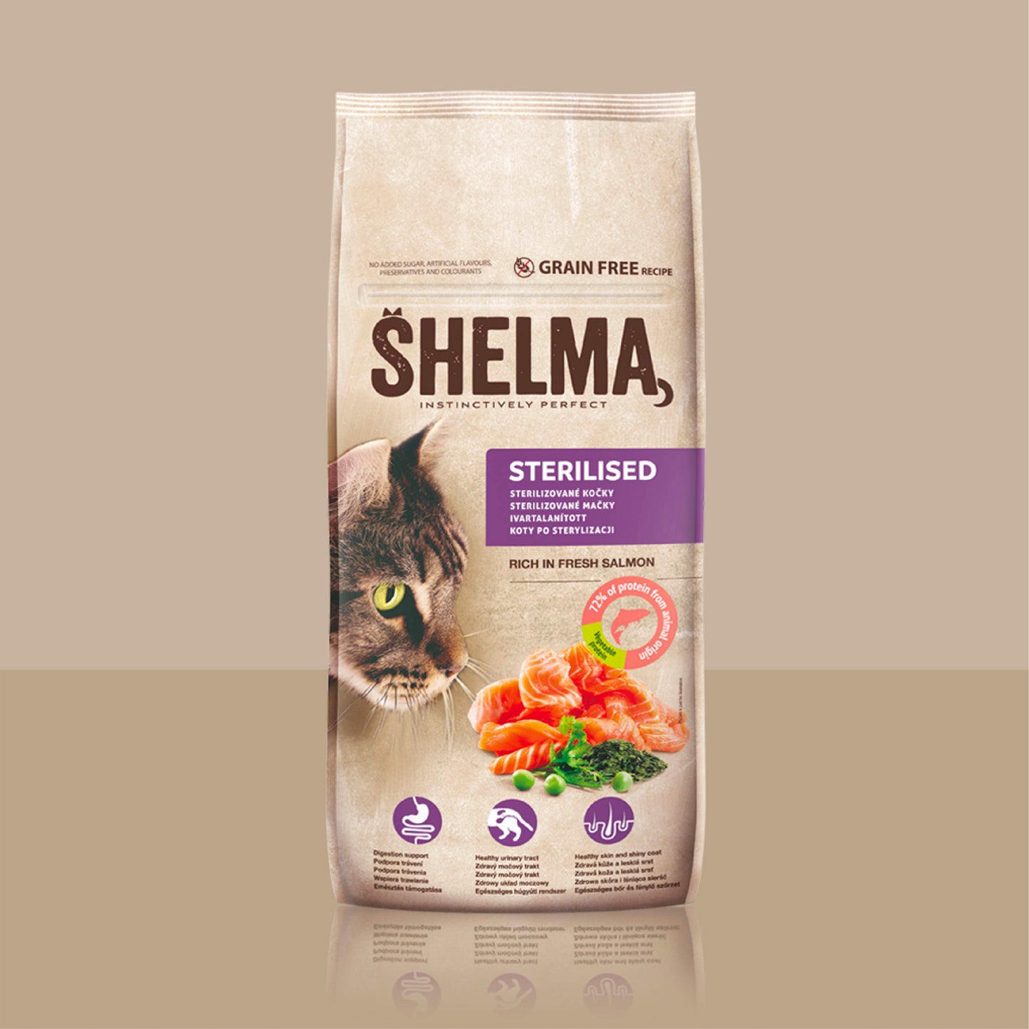 STERILIZED SALMON