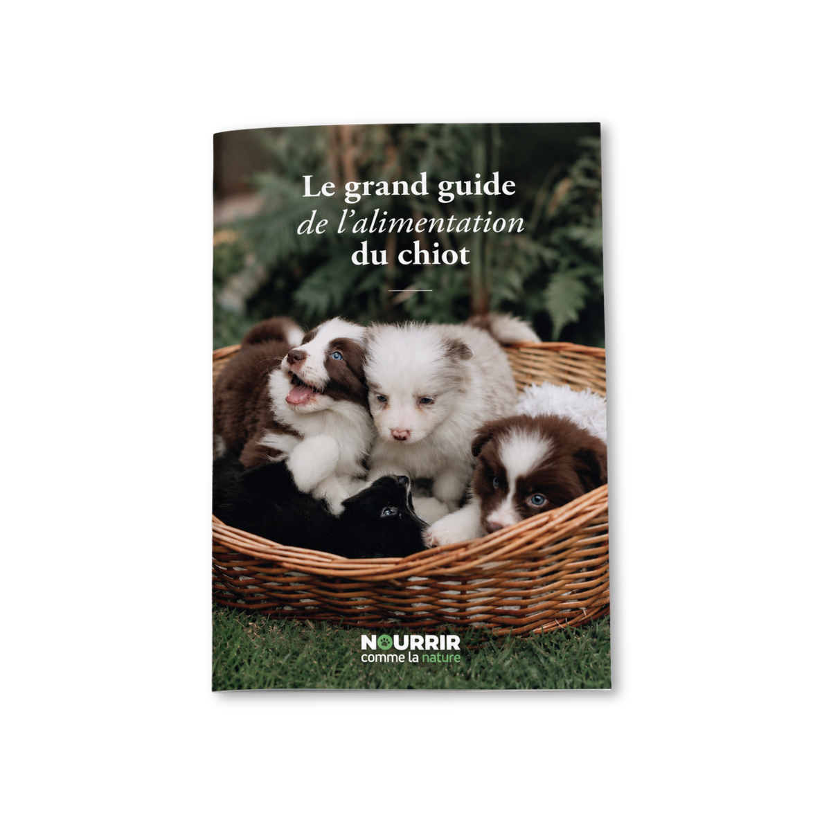 Kit chiot Wolfood Puppy 3 kg