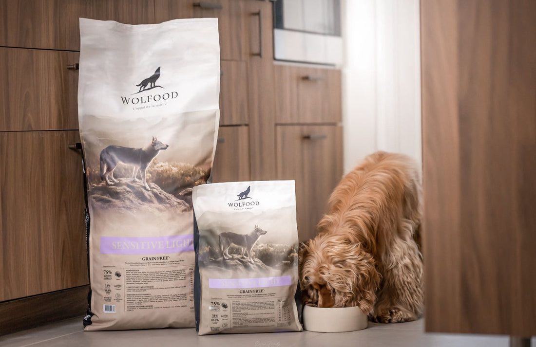Une nouvelle recette spéciale chiens sensibles