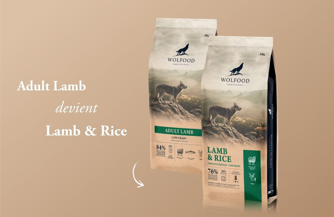 Une recette emblématique évolue : découvrez Lamb & Rice