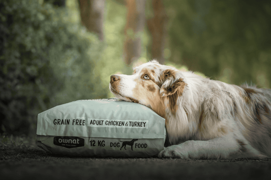 Chien - Sans céréales - Nourrir comme la nature Pro 