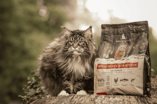 Chat - Sans céréales - Nourrir comme la nature Pro 