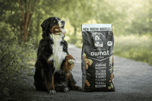 Chien - Faible en céréales - Nourrir comme la nature Pro 