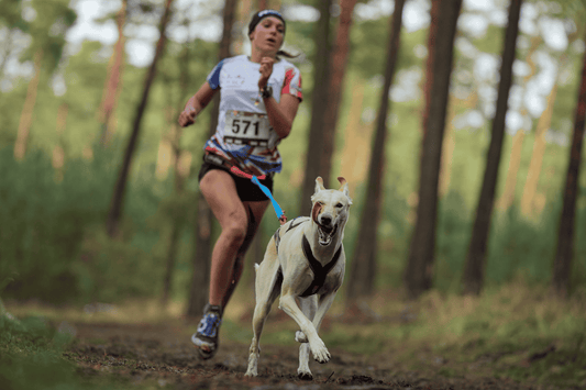 Chien - Sportif - Nourrir comme la nature Pro 