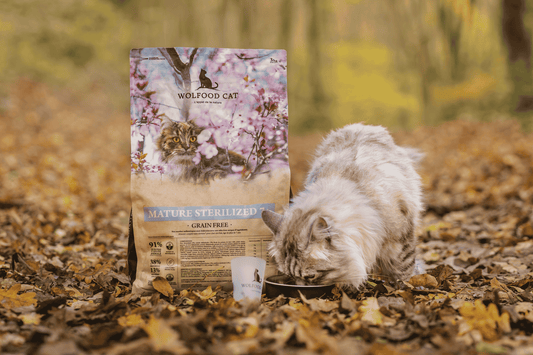 Chat - Sénior - Nourrir comme la nature Pro 