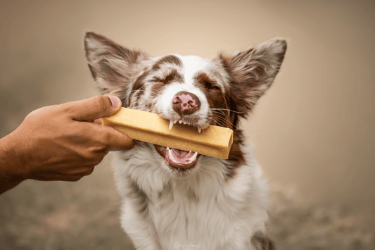 Chien - Friandises - Nourrir comme la nature Pro 