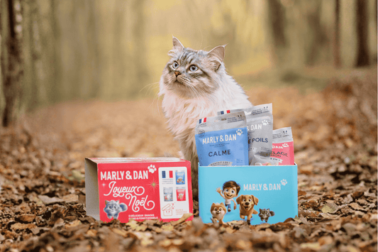 Chat - Friandises - Nourrir comme la nature Pro 
