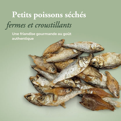 Lot friandises naturelles poisson + boîte hermétique OFFERTE