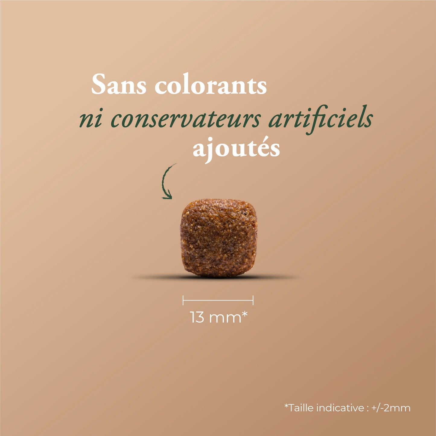 ADULT FISH (DEVIENT FISH & RICE)