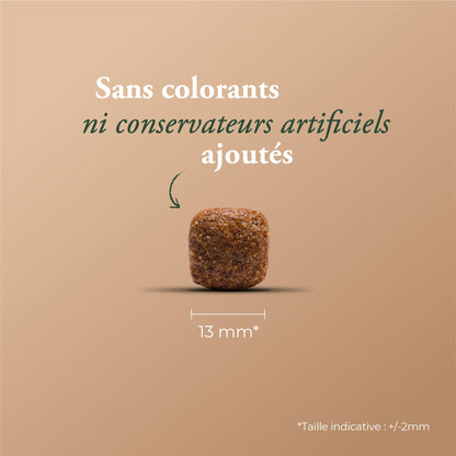 ADULT FISH (DEVIENT FISH & RICE)