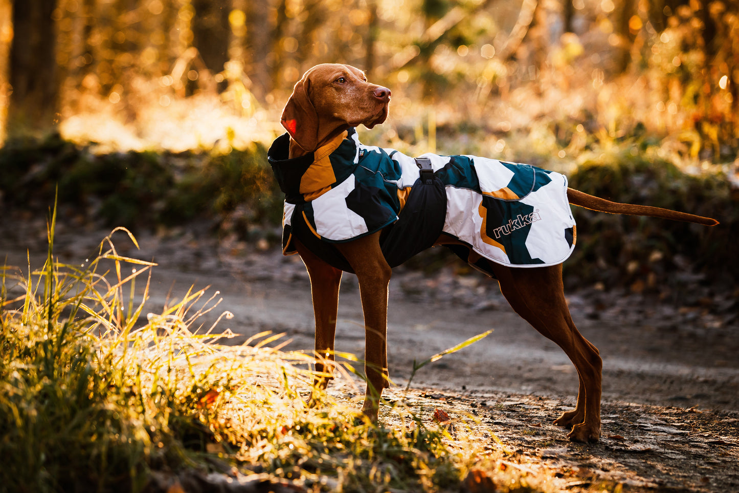 Manteau chaud et imperméable