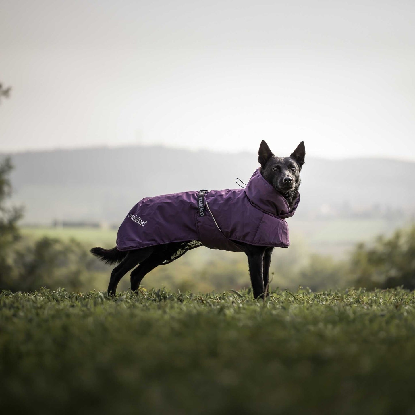 Manteau technique imperméable