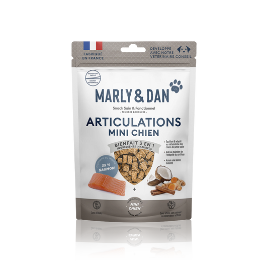 ARTICULATIONS MINI