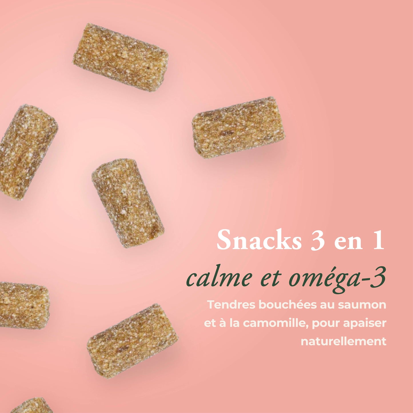 CALME CHAT