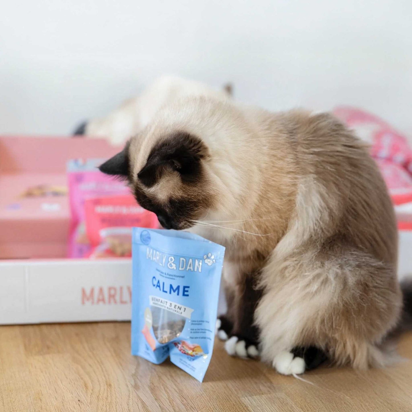 CALME CHAT