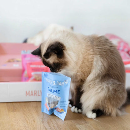 CALME CHAT