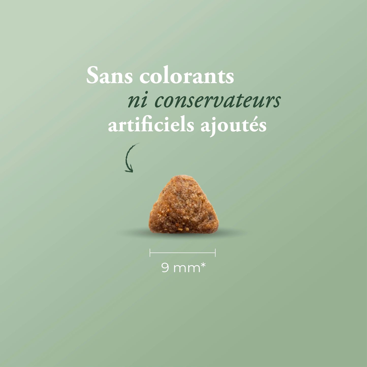 CARE HYPOALLERGÉNIQUE