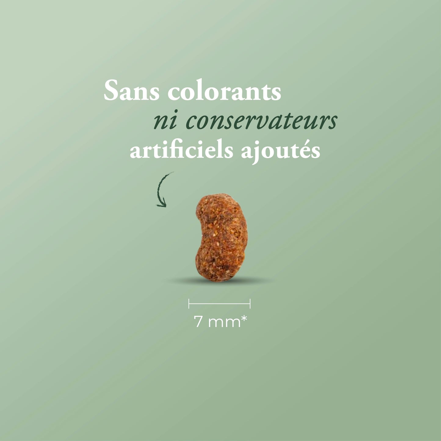 CARE URINAIRE