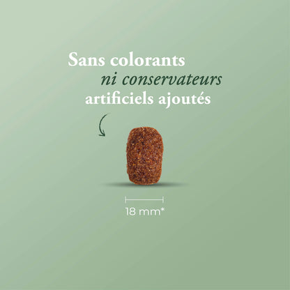 CLASSIC COMPLET