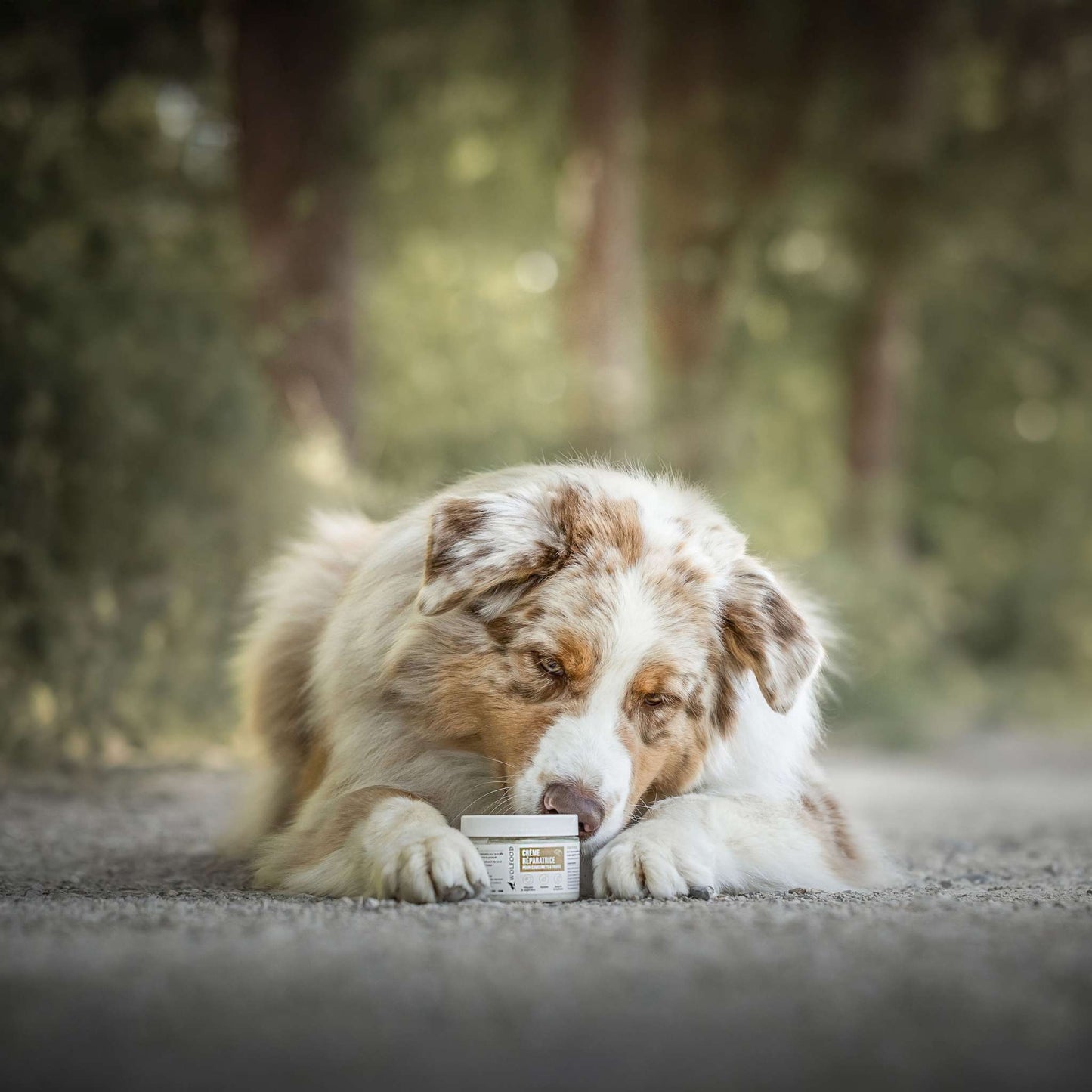 CRÈME RÉPARATRICE