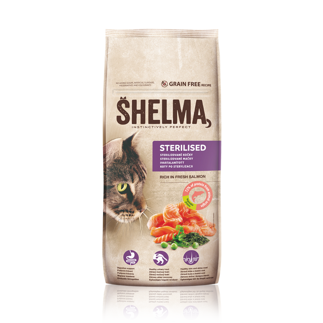 STERILIZED SALMON