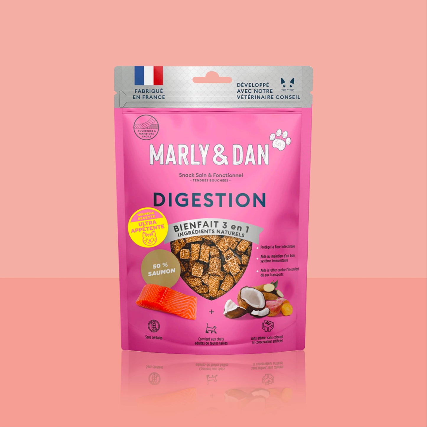 DIGESTION CHAT