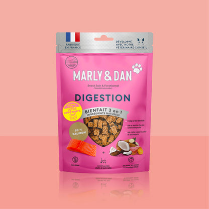 DIGESTION CHAT