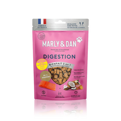 DIGESTION CHAT