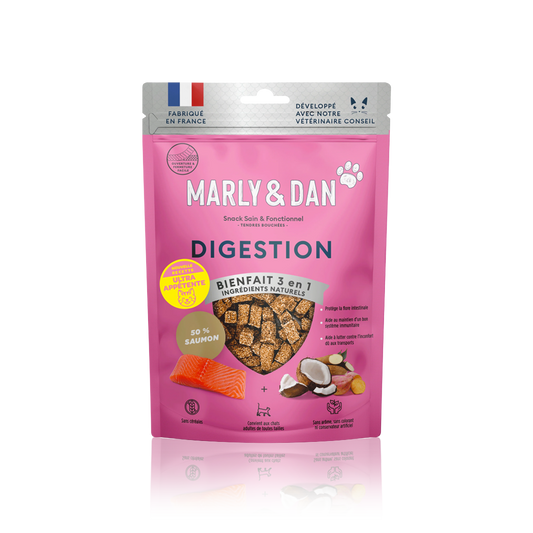 DIGESTION CHAT