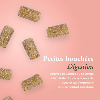 DIGESTION CHAT