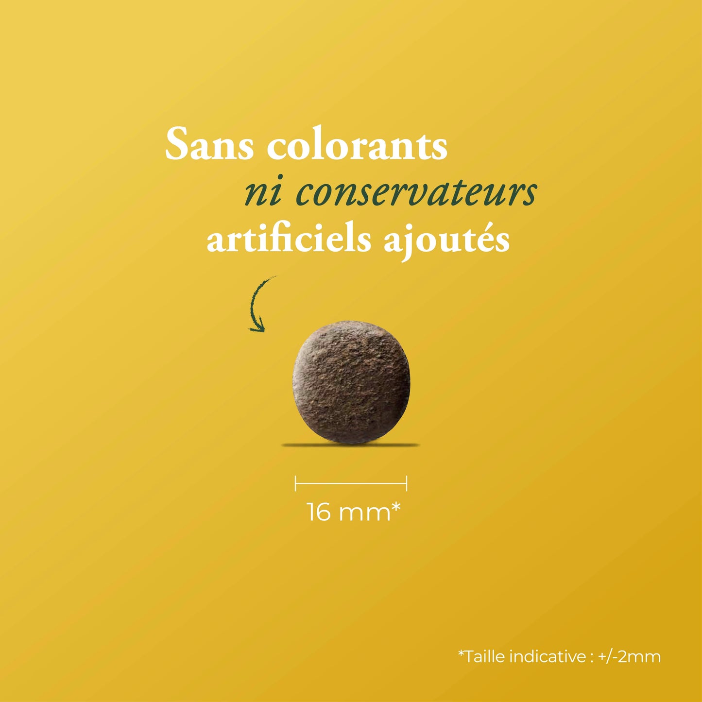 HELP HYPOALLERGÉNIQUE