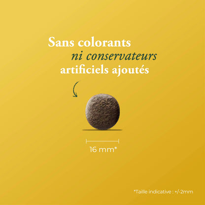 HELP HYPOALLERGÉNIQUE