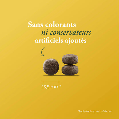 HELP SURPOIDS & DIABÈTE