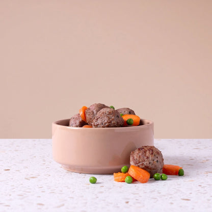 MEATBALLS OCEAN WONDERS