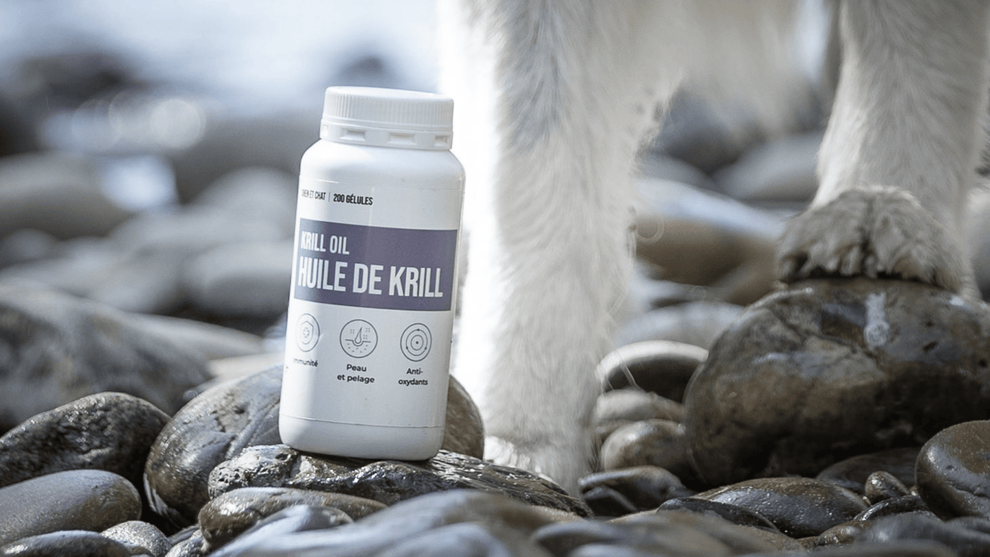HUILE DE KRILL