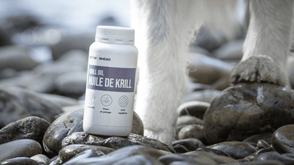 HUILE DE KRILL