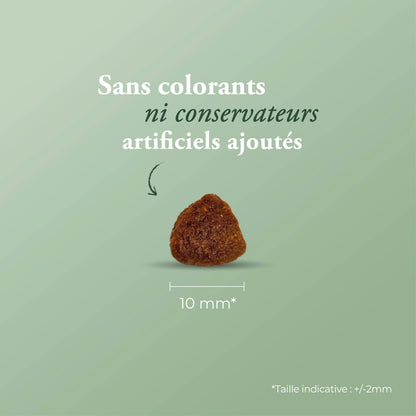 Just Adult Chicken 14 kg + calendrier de l'avent OFFERT
