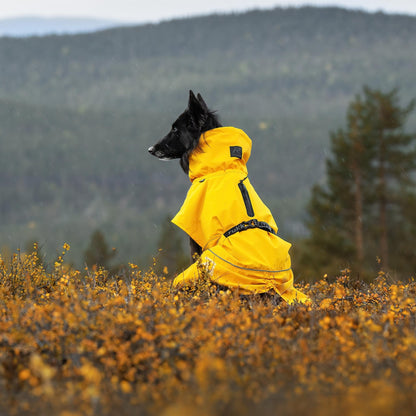 Veste de pluie