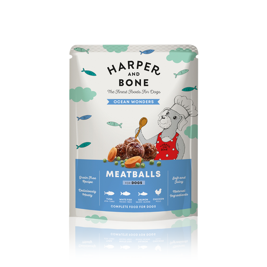MEATBALLS OCEAN WONDERS