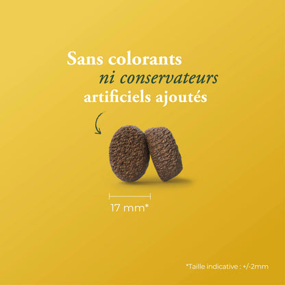 OPTINESS