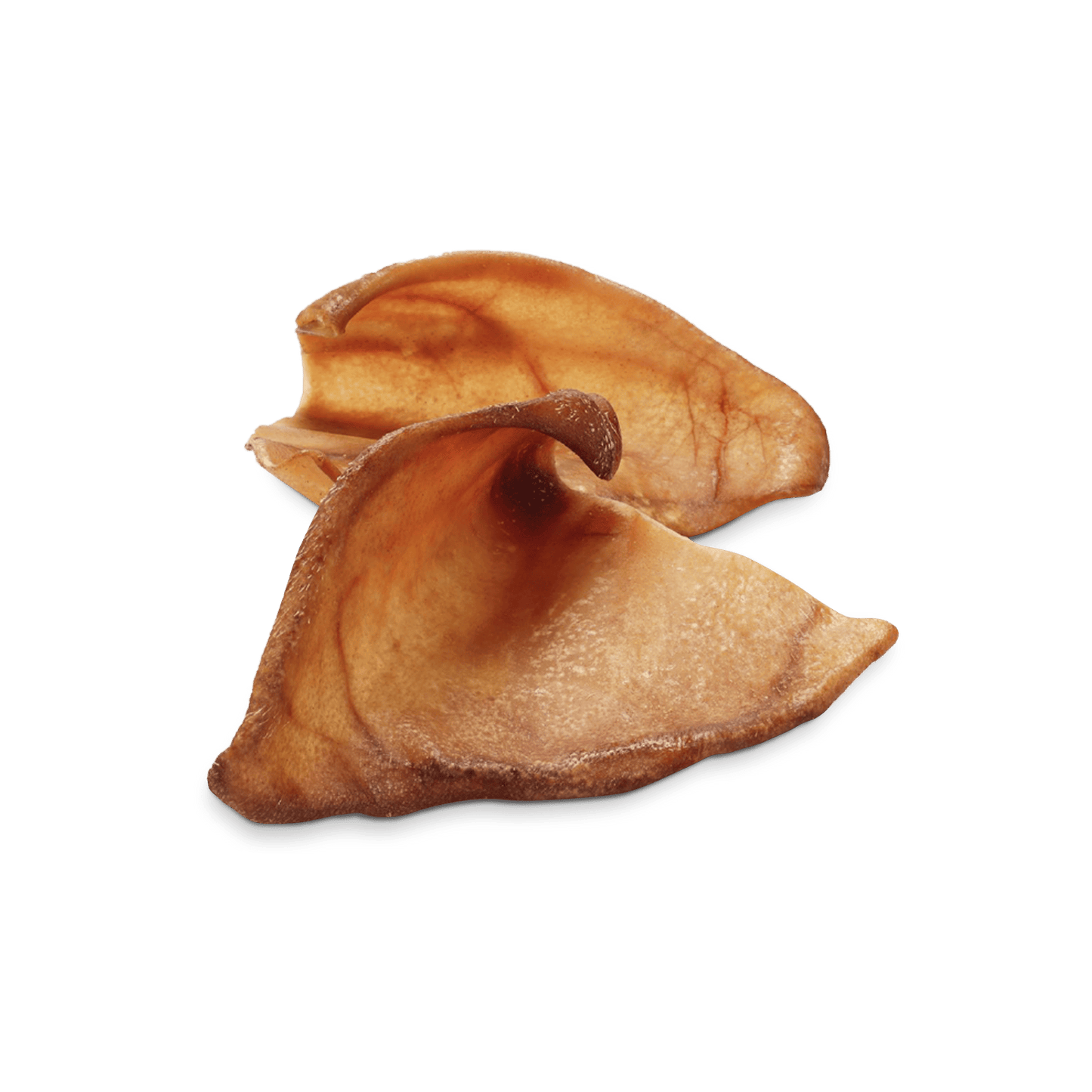 OREILLES DE PORC