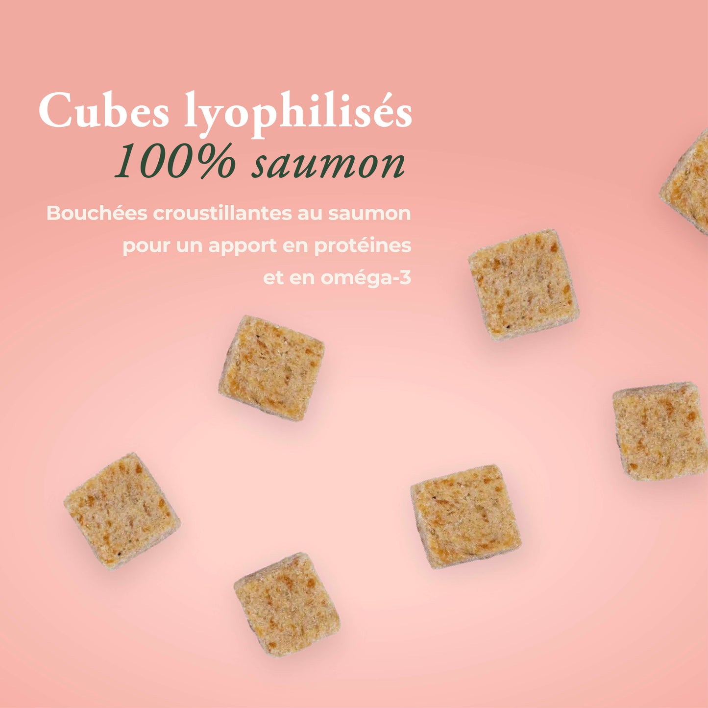 PEAU & PELAGE 100% SAUMON CHAT