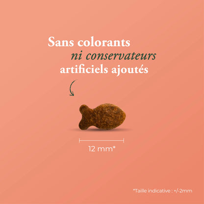 LA POISSINETTE