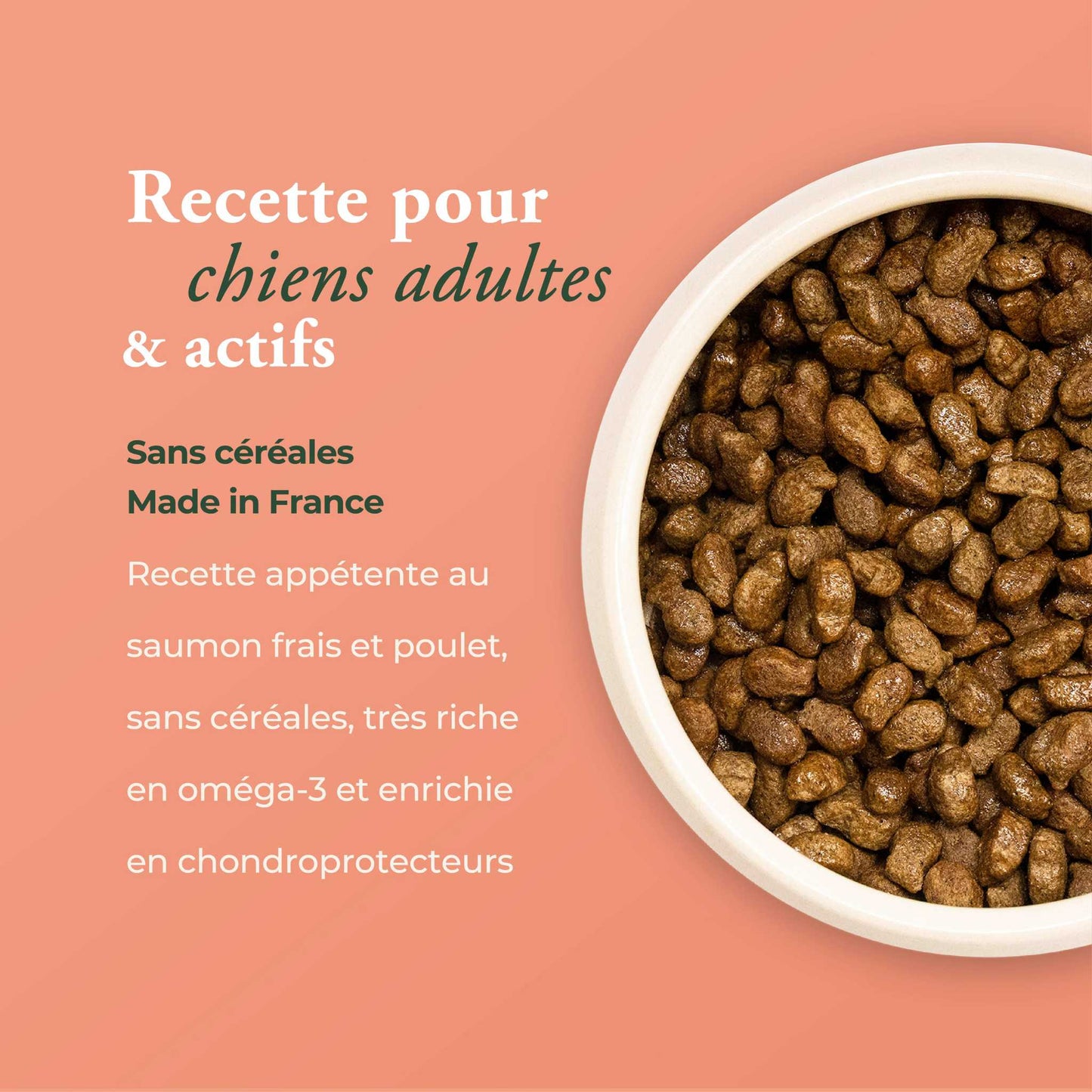 LA POISSINETTE