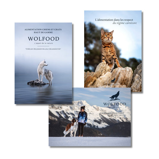 Poster Wolfood