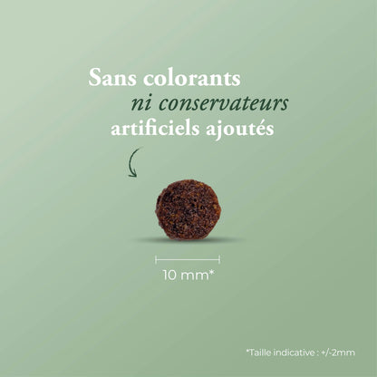 Prime Junior Chicken Turkey 12 kg + calendrier de l'avent OFFERT
