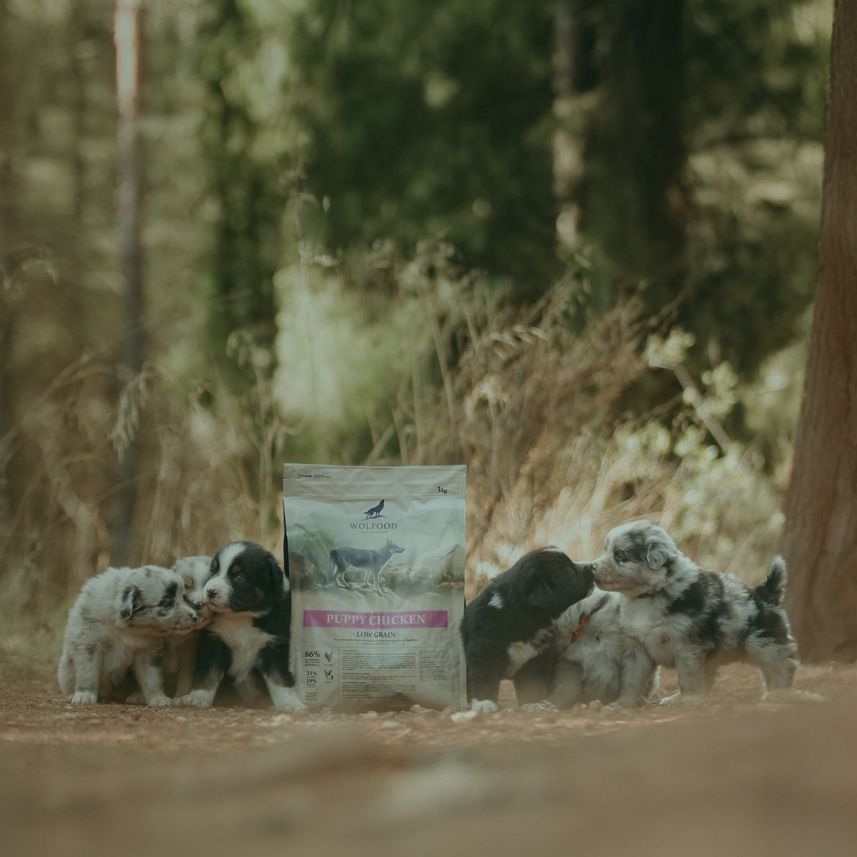 Kit chiot Wolfood Puppy 3 kg