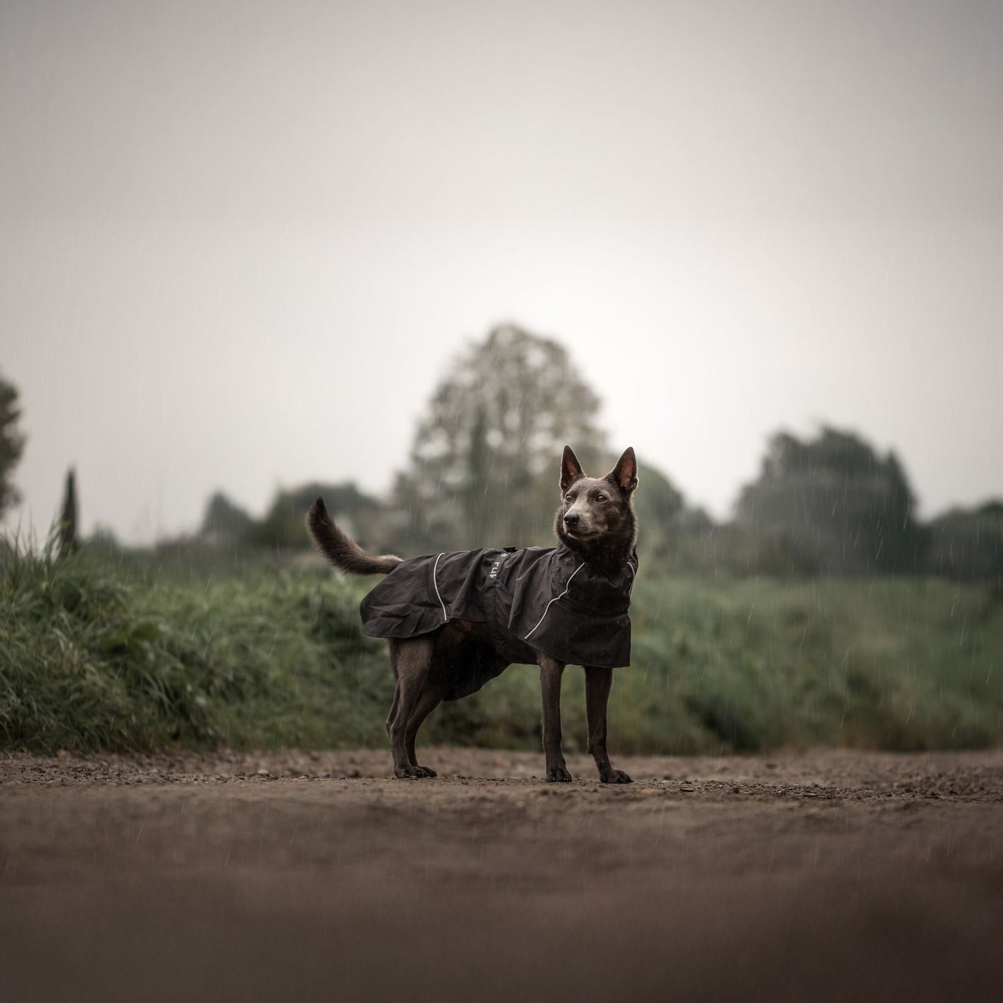 Veste de pluie