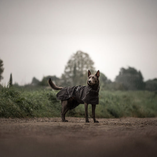 Veste de pluie